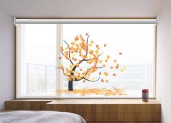 WhatsApp-Image-2019-12-11-at-18.41.01-1