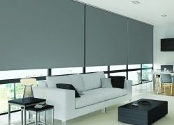 rollerblack-11-250x250